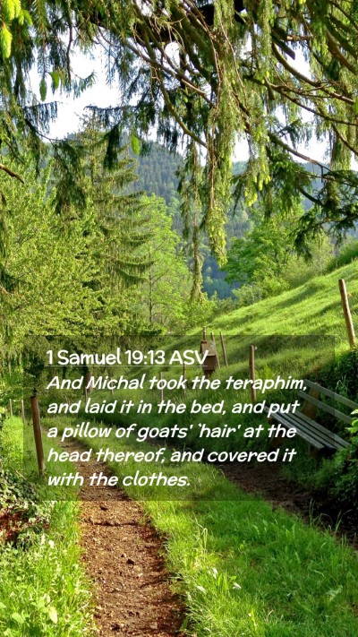 Picture 02 - 1 Samuel 19:13 ASV Mobile Phone Wallpaper - And Michal took the teraphim, and laid it in the - Mobile Bible Verse Wallpaper