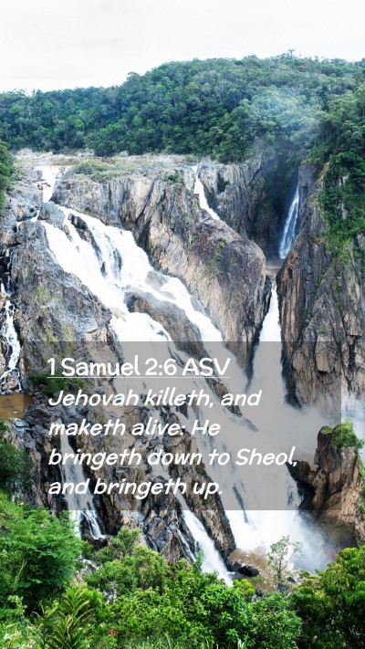 Picture 02 - 1 Samuel 2:6 ASV Mobile Phone Wallpaper - Jehovah killeth, and maketh alive: He bringeth - Mobile Bible Verse Wallpaper