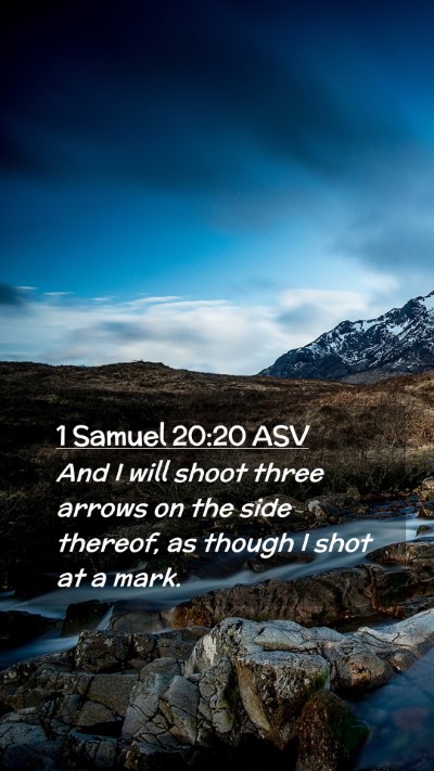 Picture 02 - 1 Samuel 20:20 ASV Mobile Phone Wallpaper - And I will shoot three arrows on the side - Mobile Bible Verse Wallpaper