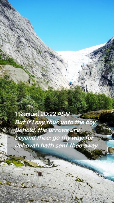 Picture 02 - 1 Samuel 20:22 ASV Mobile Phone Wallpaper - But if I say thus unto the boy, Behold, the - Mobile Bible Verse Wallpaper