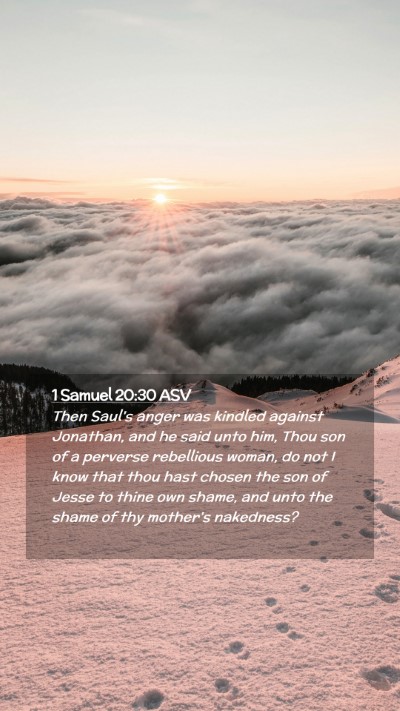 Picture 02 - 1 Samuel 20:30 ASV Mobile Phone Wallpaper - Then Saul's anger was kindled against Jonathan, - Mobile Bible Verse Wallpaper