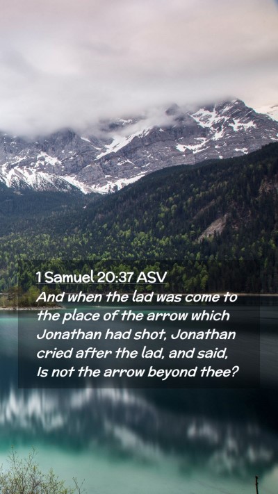 Picture 02 - 1 Samuel 20:37 ASV Mobile Phone Wallpaper - And when the lad was come to the place of the - Mobile Bible Verse Wallpaper