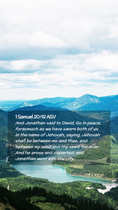 Picture 02 - 1 Samuel 20:42 ASV Mobile Phone Wallpaper - And Jonathan said to David, Go in peace, - Mobile Bible Verse Wallpaper