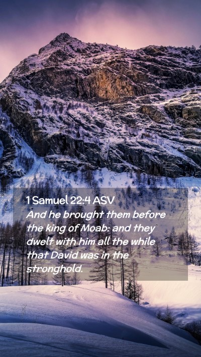 Picture 02 - 1 Samuel 22:4 ASV Mobile Phone Wallpaper - And he brought them before the king of Moab: and - Mobile Bible Verse Wallpaper