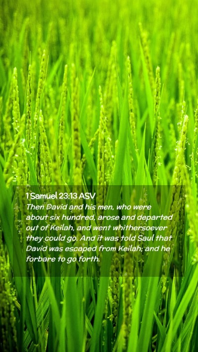 Picture 02 - 1 Samuel 23:13 ASV Mobile Phone Wallpaper - Then David and his men, who were about six - Mobile Bible Verse Wallpaper