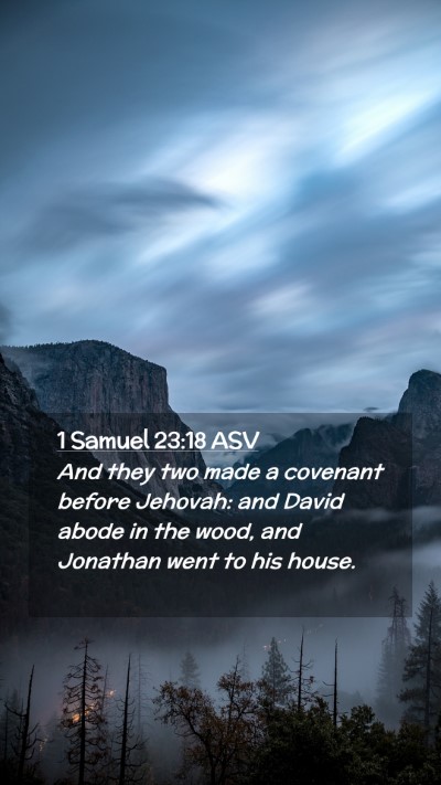 Picture 02 - 1 Samuel 23:18 ASV Mobile Phone Wallpaper - And they two made a covenant before Jehovah: and - Mobile Bible Verse Wallpaper