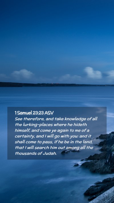 Picture 02 - 1 Samuel 23:23 ASV Mobile Phone Wallpaper - See therefore, and take knowledge of all the - Mobile Bible Verse Wallpaper