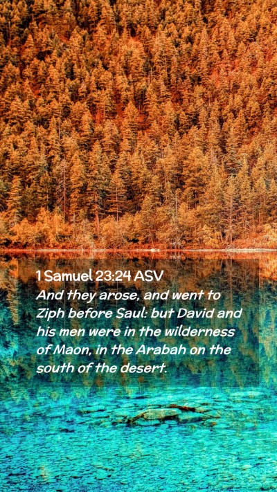 Picture 02 - 1 Samuel 23:24 ASV Mobile Phone Wallpaper - And they arose, and went to Ziph before Saul: but - Mobile Bible Verse Wallpaper
