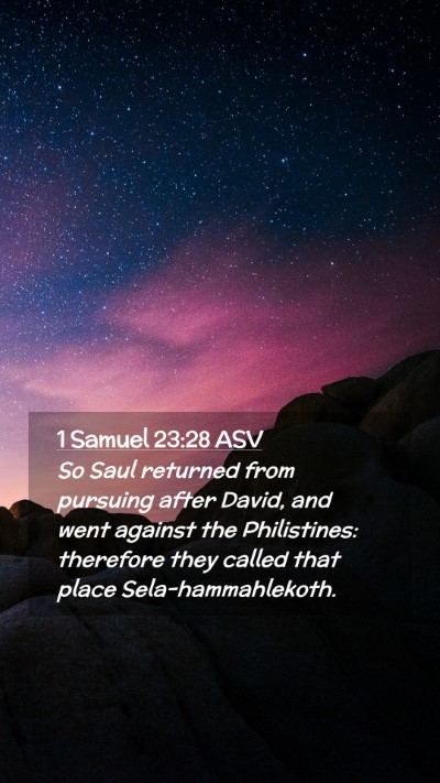 Picture 02 - 1 Samuel 23:28 ASV Mobile Phone Wallpaper - So Saul returned from pursuing after David, and - Mobile Bible Verse Wallpaper