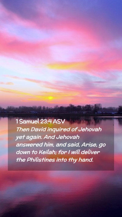 Picture 02 - 1 Samuel 23:4 ASV Mobile Phone Wallpaper - Then David inquired of Jehovah yet again. And - Mobile Bible Verse Wallpaper