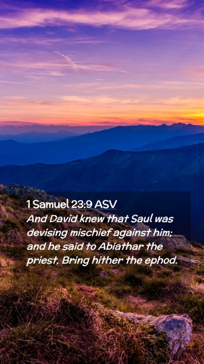 Picture 02 - 1 Samuel 23:9 ASV Mobile Phone Wallpaper - And David knew that Saul was devising mischief - Mobile Bible Verse Wallpaper