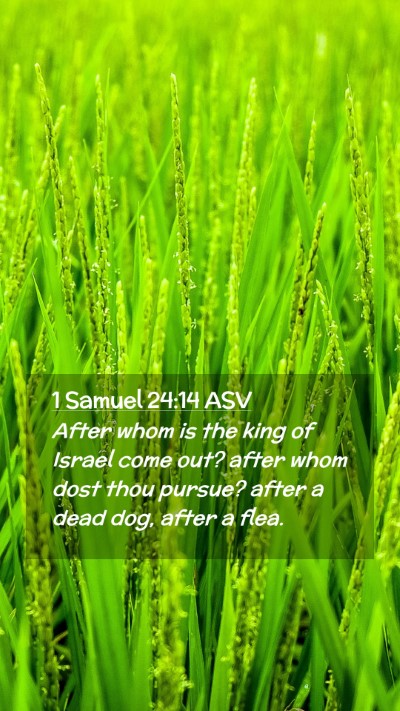 Picture 02 - 1 Samuel 24:14 ASV Mobile Phone Wallpaper - After whom is the king of Israel come out? after - Mobile Bible Verse Wallpaper