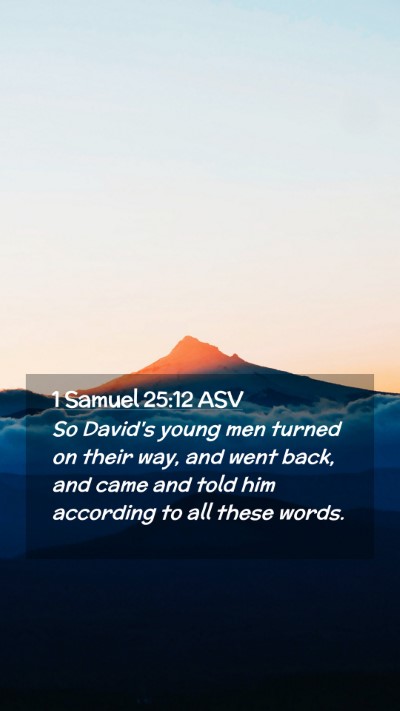 Picture 02 - 1 Samuel 25:12 ASV Mobile Phone Wallpaper - So David's young men turned on their way, and - Mobile Bible Verse Wallpaper