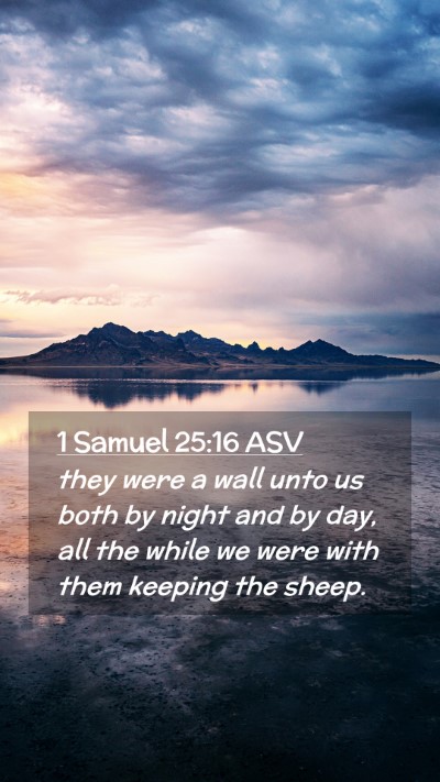 Picture 02 - 1 Samuel 25:16 ASV Mobile Phone Wallpaper - they were a wall unto us both by night and by - Mobile Bible Verse Wallpaper