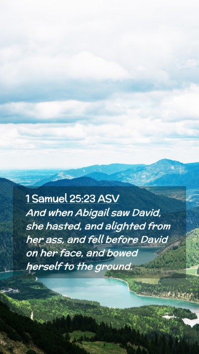 Picture 02 - 1 Samuel 25:23 ASV Mobile Phone Wallpaper - And when Abigail saw David, she hasted, and - Mobile Bible Verse Wallpaper