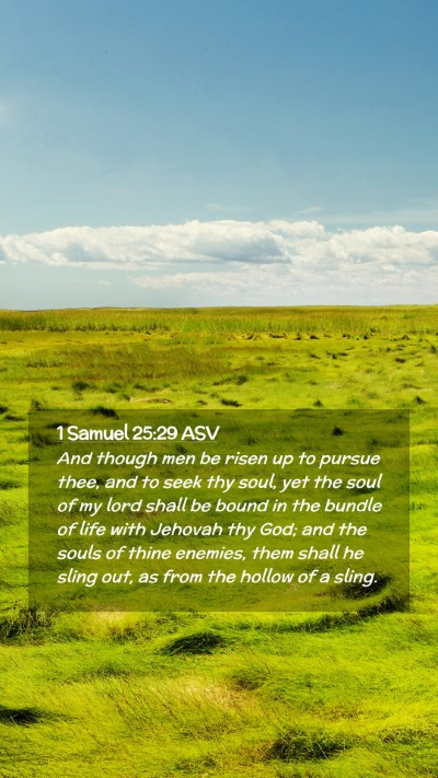 Picture 02 - 1 Samuel 25:29 ASV Mobile Phone Wallpaper - And though men be risen up to pursue thee, and to - Mobile Bible Verse Wallpaper