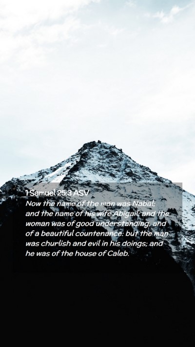 Picture 02 - 1 Samuel 25:3 ASV Mobile Phone Wallpaper - Now the name of the man was Nabal; and the name - Mobile Bible Verse Wallpaper