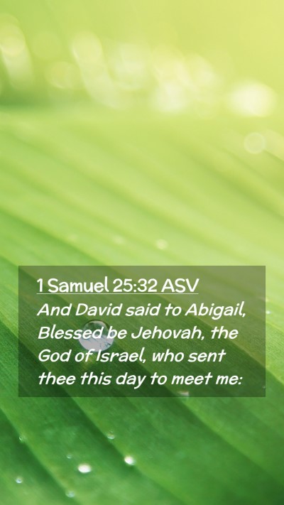 Picture 02 - 1 Samuel 25:32 ASV Mobile Phone Wallpaper - And David said to Abigail, Blessed be Jehovah, - Mobile Bible Verse Wallpaper