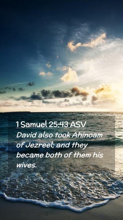 Picture 02 - 1 Samuel 25:43 ASV Mobile Phone Wallpaper - David also took Ahinoam of Jezreel; and they - Mobile Bible Verse Wallpaper