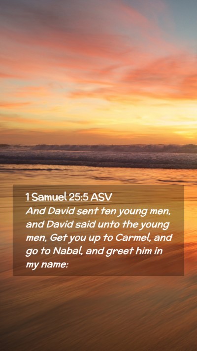 Picture 02 - 1 Samuel 25:5 ASV Mobile Phone Wallpaper - And David sent ten young men, and David said unto - Mobile Bible Verse Wallpaper