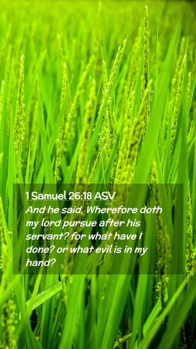 Picture 02 - 1 Samuel 26:18 ASV Mobile Phone Wallpaper - And he said, Wherefore doth my lord pursue after - Mobile Bible Verse Wallpaper