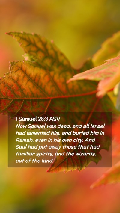 Picture 02 - 1 Samuel 28:3 ASV Mobile Phone Wallpaper - Now Samuel was dead, and all Israel had lamented - Mobile Bible Verse Wallpaper