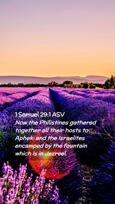 Picture 02 - 1 Samuel 29:1 ASV Mobile Phone Wallpaper - Now the Philistines gathered together all their - Mobile Bible Verse Wallpaper