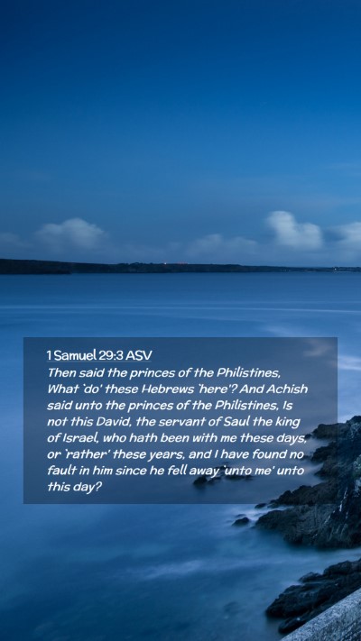 Picture 02 - 1 Samuel 29:3 ASV Mobile Phone Wallpaper - Then said the princes of the Philistines, What - Mobile Bible Verse Wallpaper