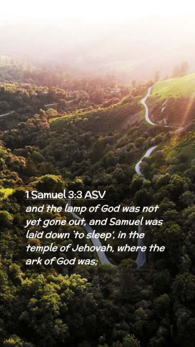Picture 02 - 1 Samuel 3:3 ASV Mobile Phone Wallpaper - and the lamp of God was not yet gone out, and - Mobile Bible Verse Wallpaper