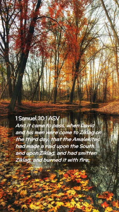 Picture 02 - 1 Samuel 30:1 ASV Mobile Phone Wallpaper - And it came to pass, when David and his men were - Mobile Bible Verse Wallpaper