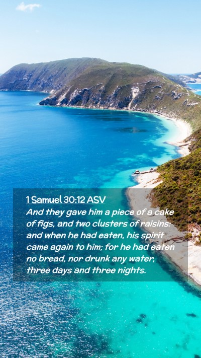 Picture 02 - 1 Samuel 30:12 ASV Mobile Phone Wallpaper - And they gave him a piece of a cake of figs, and - Mobile Bible Verse Wallpaper