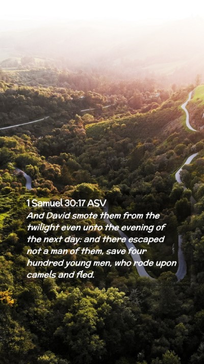 Picture 02 - 1 Samuel 30:17 ASV Mobile Phone Wallpaper - And David smote them from the twilight even unto - Mobile Bible Verse Wallpaper