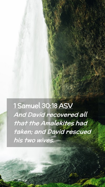 Picture 02 - 1 Samuel 30:18 ASV Mobile Phone Wallpaper - And David recovered all that the Amalekites had - Mobile Bible Verse Wallpaper