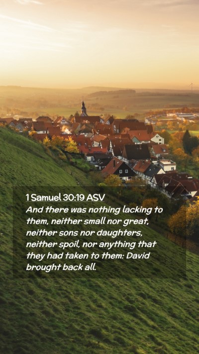 Picture 02 - 1 Samuel 30:19 ASV Mobile Phone Wallpaper - And there was nothing lacking to them, neither - Mobile Bible Verse Wallpaper