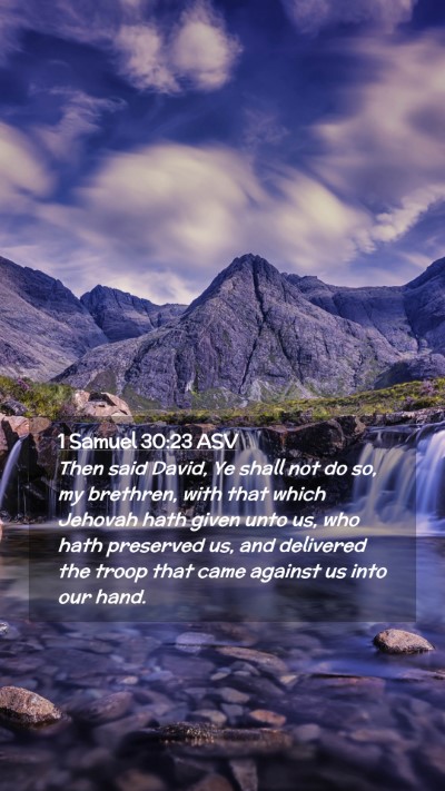 Picture 02 - 1 Samuel 30:23 ASV Mobile Phone Wallpaper - Then said David, Ye shall not do so, my brethren, - Mobile Bible Verse Wallpaper
