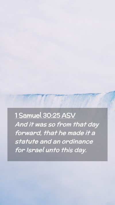 Picture 02 - 1 Samuel 30:25 ASV Mobile Phone Wallpaper - And it was so from that day forward, that he made - Mobile Bible Verse Wallpaper