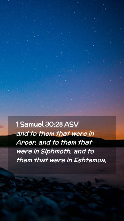 Picture 02 - 1 Samuel 30:28 ASV Mobile Phone Wallpaper - and to them that were in Aroer, and to them that - Mobile Bible Verse Wallpaper