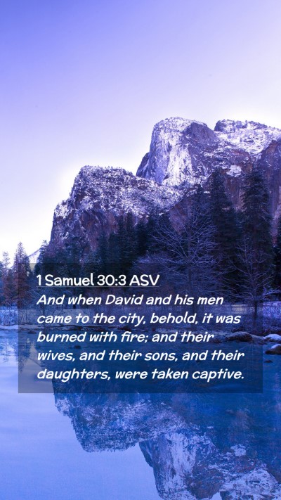 Picture 02 - 1 Samuel 30:3 ASV Mobile Phone Wallpaper - And when David and his men came to the city, - Mobile Bible Verse Wallpaper
