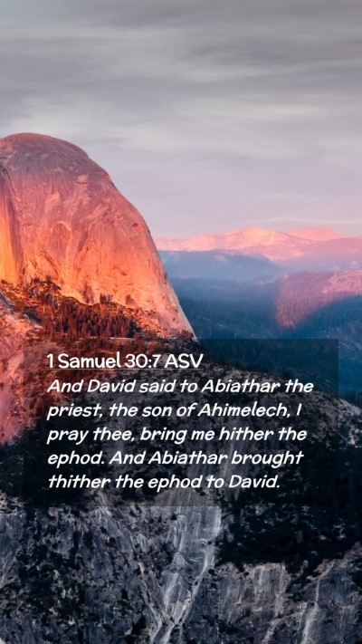 Picture 02 - 1 Samuel 30:7 ASV Mobile Phone Wallpaper - And David said to Abiathar the priest, the son of - Mobile Bible Verse Wallpaper
