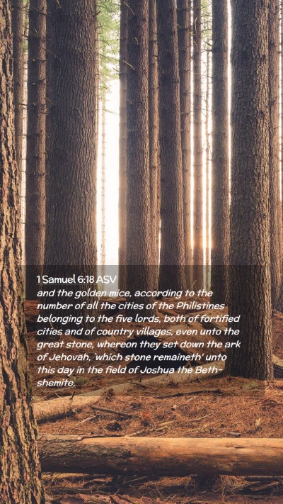 Picture 02 - 1 Samuel 6:18 ASV Mobile Phone Wallpaper - and the golden mice, according to the number of - Mobile Bible Verse Wallpaper