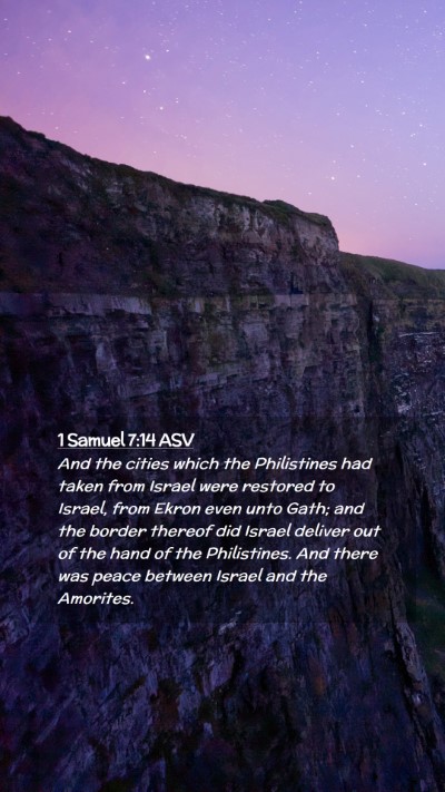 Picture 02 - 1 Samuel 7:14 ASV Mobile Phone Wallpaper - And the cities which the Philistines had taken - Mobile Bible Verse Wallpaper