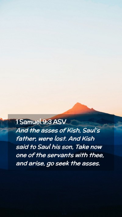 Picture 02 - 1 Samuel 9:3 ASV Mobile Phone Wallpaper - And the asses of Kish, Saul's father, were lost. - Mobile Bible Verse Wallpaper