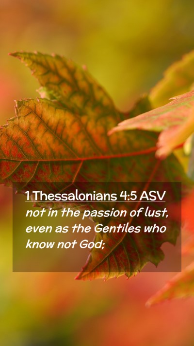 Picture 02 - 1 Thessalonians 4:5 ASV Mobile Phone Wallpaper - not in the passion of lust, even as the Gentiles - Mobile Bible Verse Wallpaper