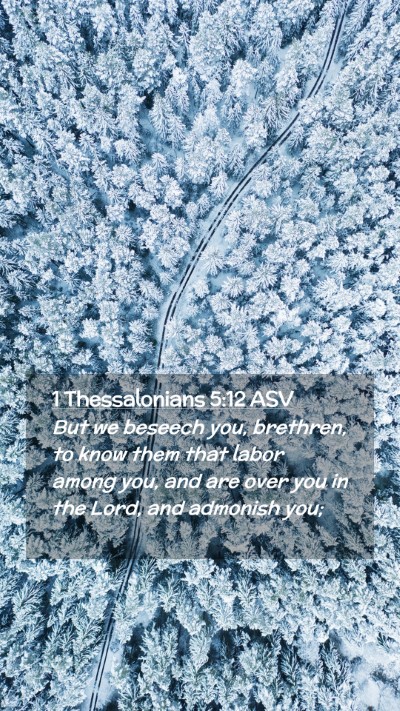 Picture 02 - 1 Thessalonians 5:12 ASV Mobile Phone Wallpaper - But we beseech you, brethren, to know them that - Mobile Bible Verse Wallpaper