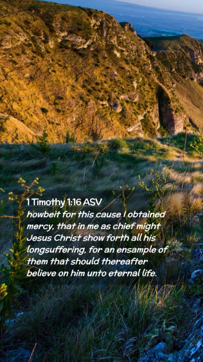 Picture 02 - 1 Timothy 1:16 ASV Mobile Phone Wallpaper - howbeit for this cause I obtained mercy, that in - Mobile Bible Verse Wallpaper