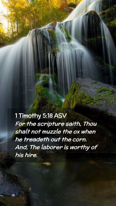 Picture 02 - 1 Timothy 5:18 ASV Mobile Phone Wallpaper - For the scripture saith, Thou shalt not muzzle - Mobile Bible Verse Wallpaper