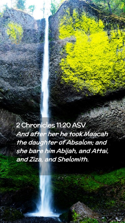 Picture 02 - 2 Chronicles 11:20 ASV Mobile Phone Wallpaper - And after her he took Maacah the daughter of - Mobile Bible Verse Wallpaper