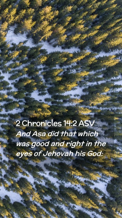 Picture 02 - 2 Chronicles 14:2 ASV Mobile Phone Wallpaper - And Asa did that which was good and right in the - Mobile Bible Verse Wallpaper