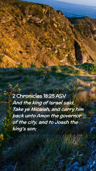 Picture 02 - 2 Chronicles 18:25 ASV Mobile Phone Wallpaper - And the king of Israel said, Take ye Micaiah, and - Mobile Bible Verse Wallpaper