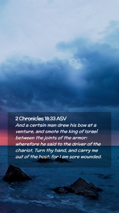 Picture 02 - 2 Chronicles 18:33 ASV Mobile Phone Wallpaper - And a certain man drew his bow at a venture, and - Mobile Bible Verse Wallpaper